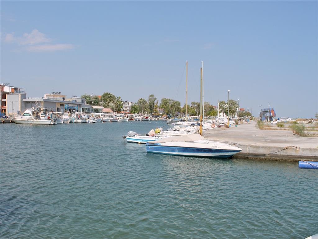 Земля в Олимпиаки-Акти, Греция, 9 735 м² - фото 2