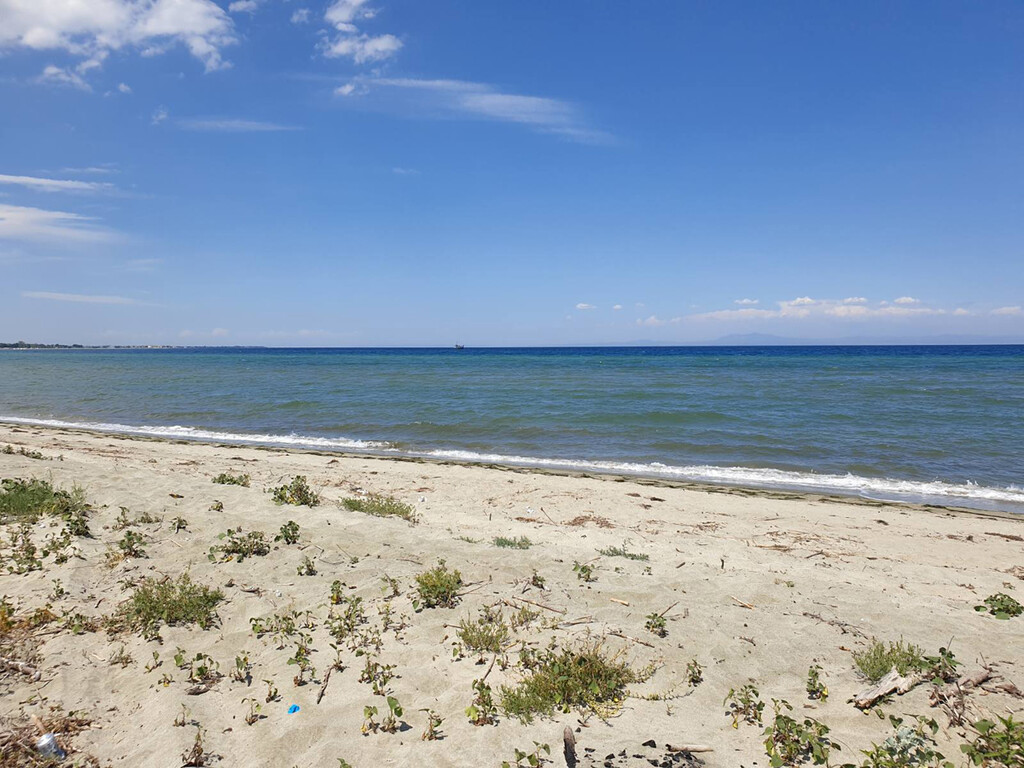 Земля в Олимпиаки-Акти, Греция, 12 955 м² - фото 2