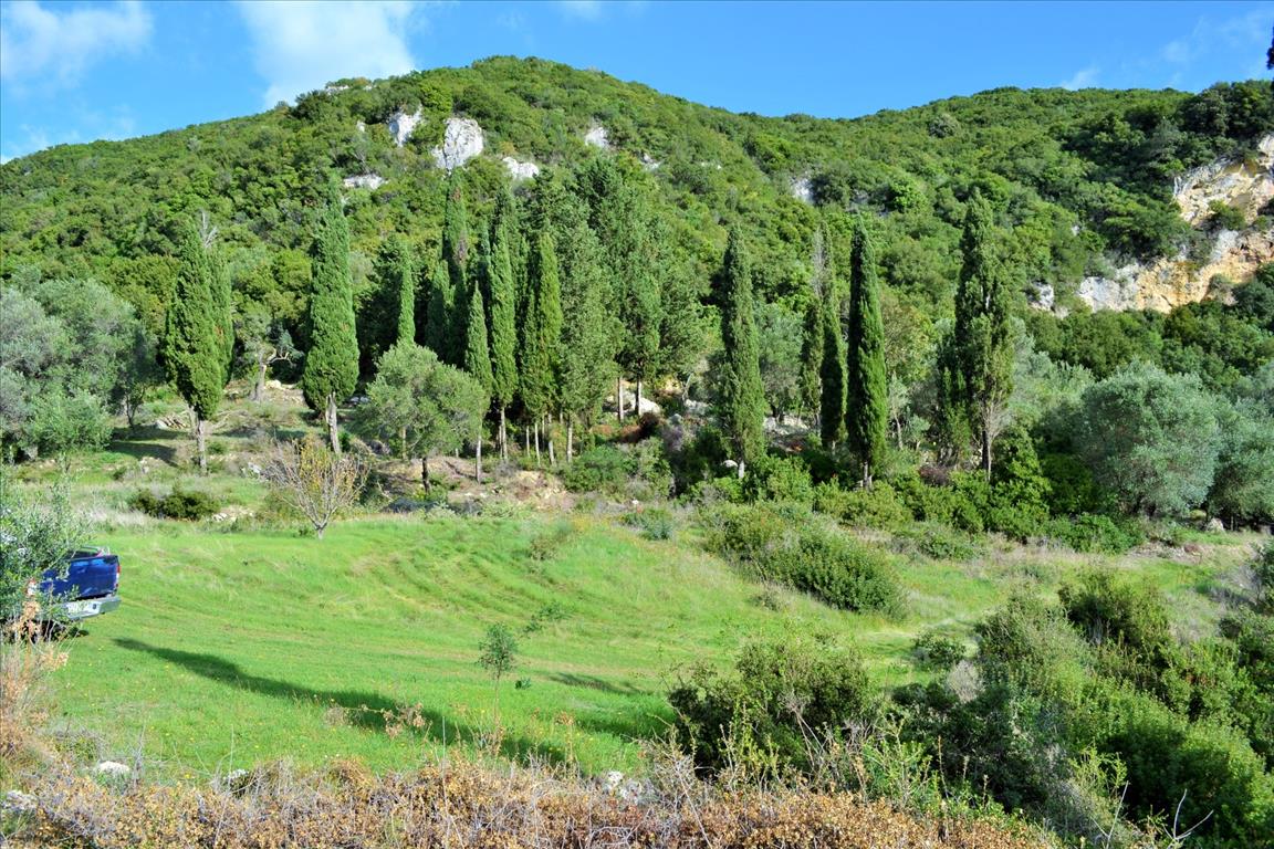 Земля на Корфу, Греция, 15 000 м² - фото 2