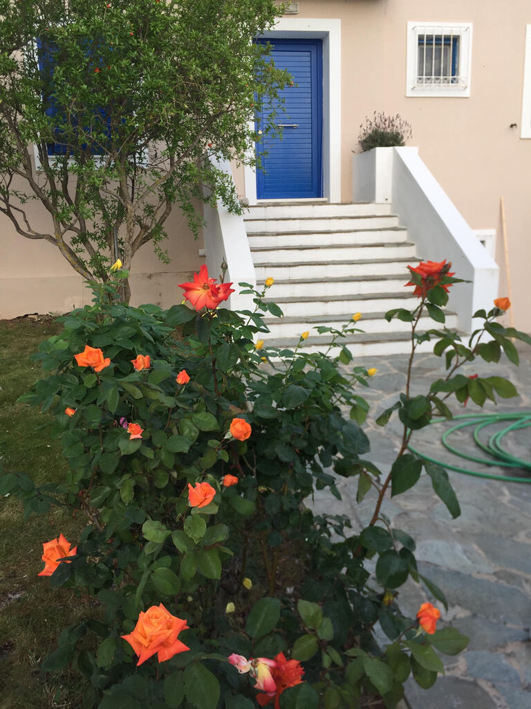 Дом в Афинах, Греция, 151 м² - фото 2