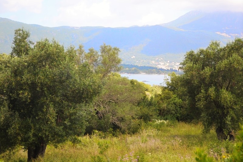 Земля на Корфу, Греция, 5 500 м² - фото 2