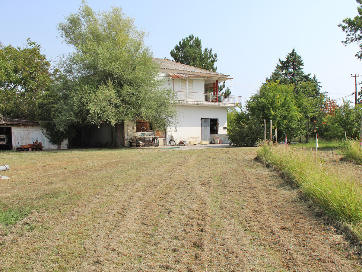 Дом в Олимпиаки-Акти, Греция, 180 м² - фото 2