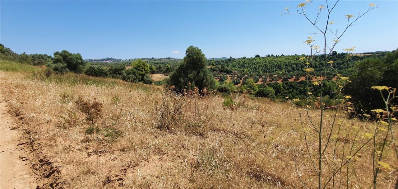 Земля на Кассандре, Греция, 5 700 м² - фото 2