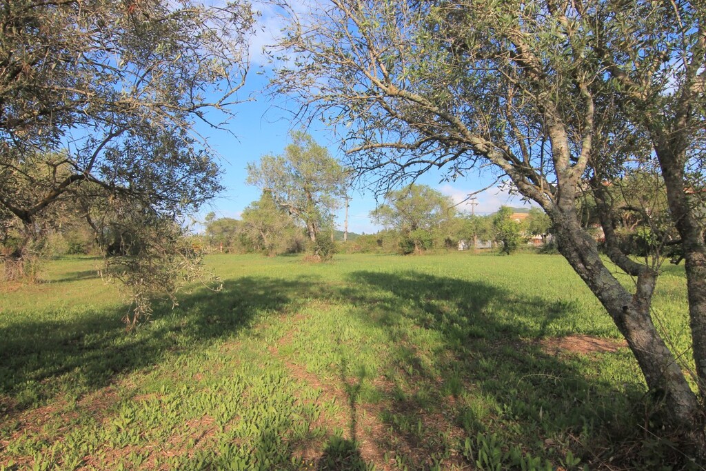 Земля на Корфу, Греция, 4 188 м² - фото 2