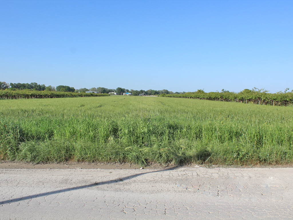 Земля в Олимпиаки-Акти, Греция, 8 000 м² - фото 2