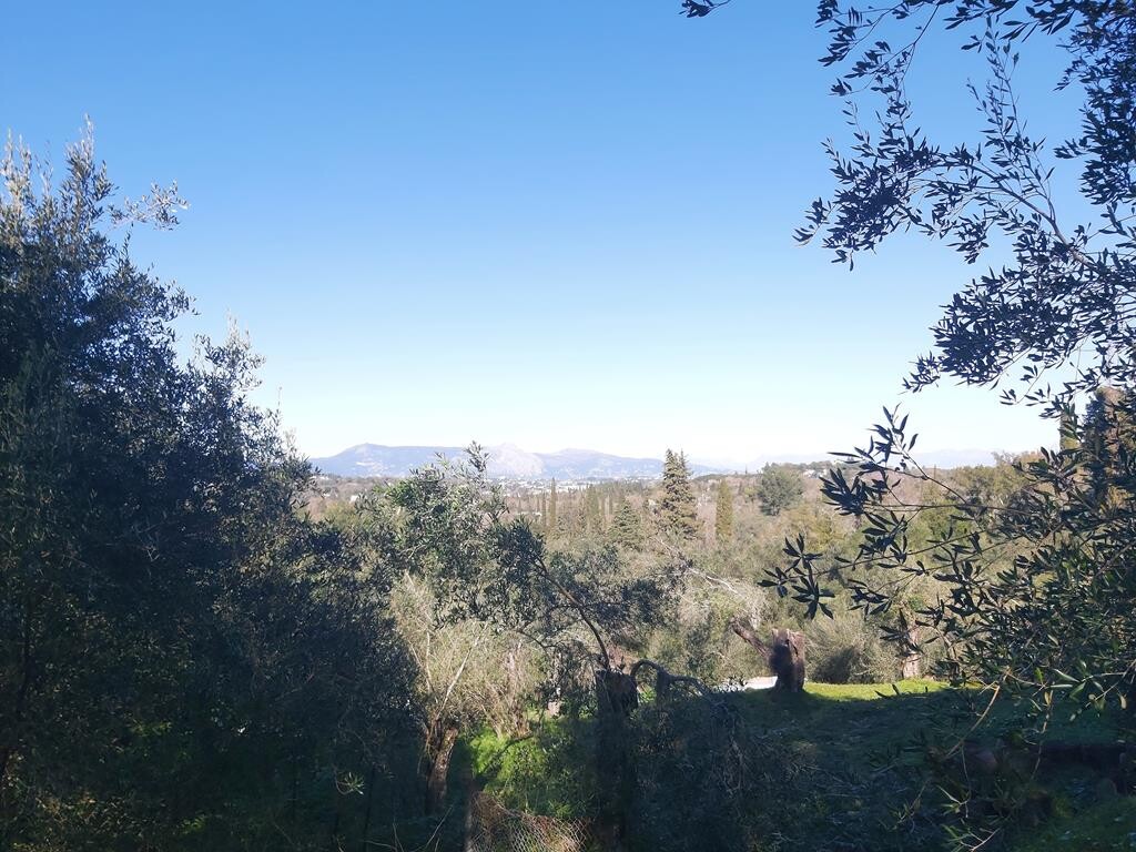 Земля на Корфу, Греция, 7 000 м² - фото 2