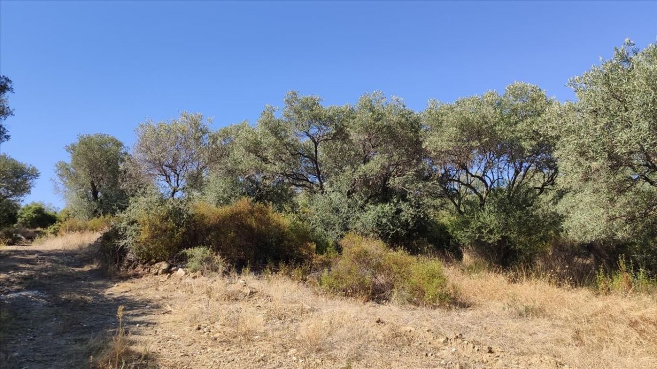 Земля на Халкидиках, Греция, 12 750 м² - фото 2