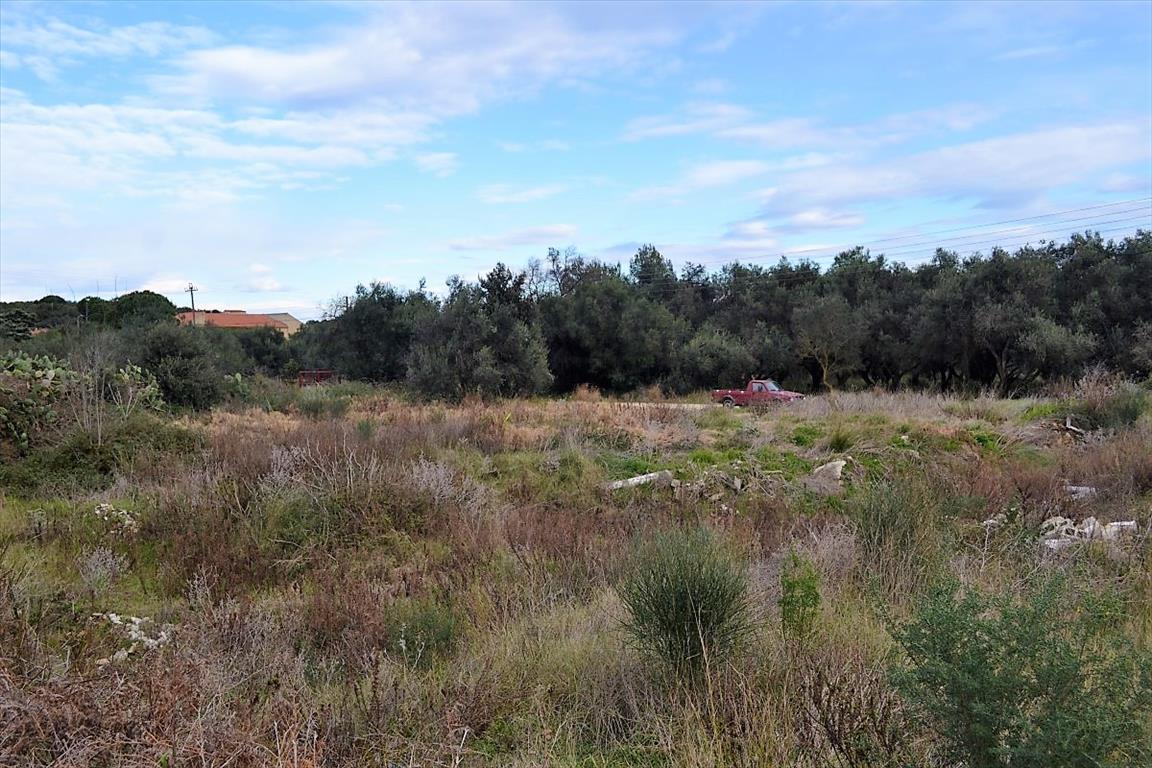 Земля на Корфу, Греция, 5 500 м² - фото 2