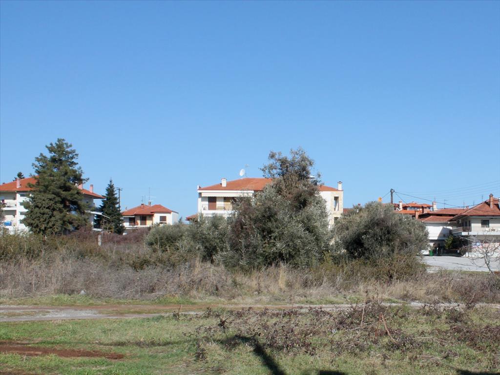 Земля в Олимпиаки-Акти, Греция, 1 123 м² - фото 2