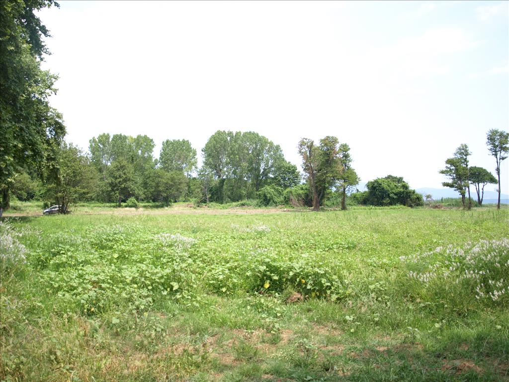 Земля на Халкидиках, Греция, 10 045 м² - фото 2