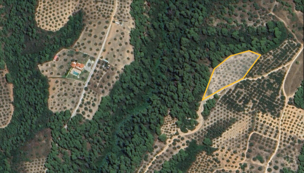 Земля в Ситонии, Греция, 5 975 м² - фото 2
