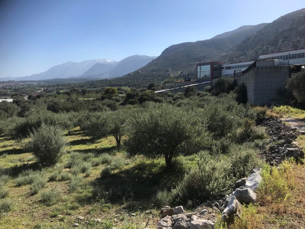 Земля в Ираклионе, Греция, 12 400 м² - фото 2