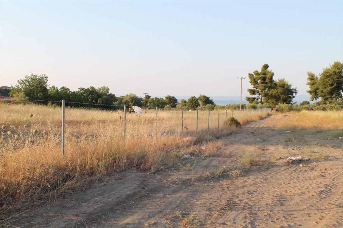 Земля на Кассандре, Греция, 12 000 м² - фото 2