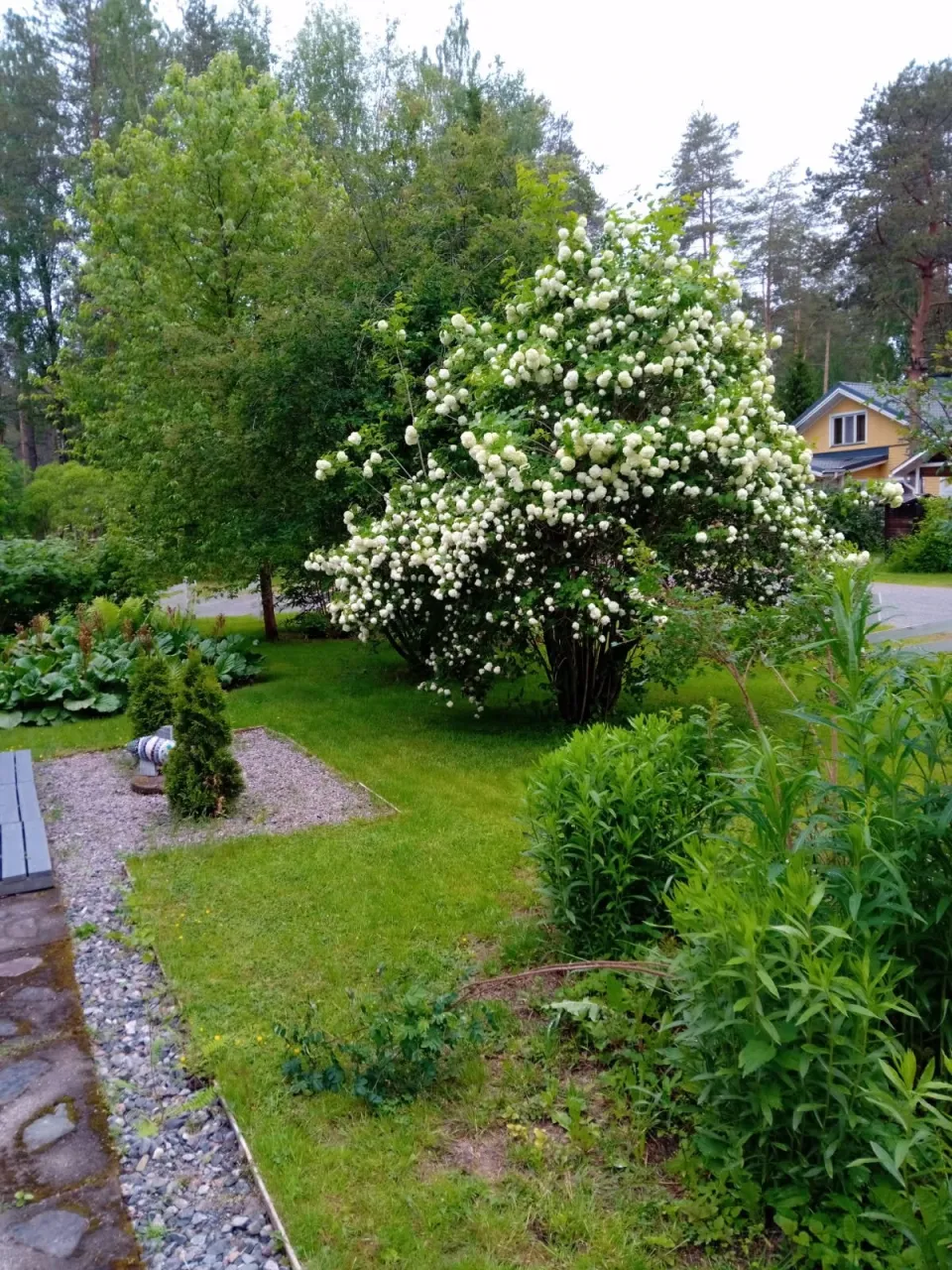 Дом в Кокколе, Финляндия, 101 м² - фото 4