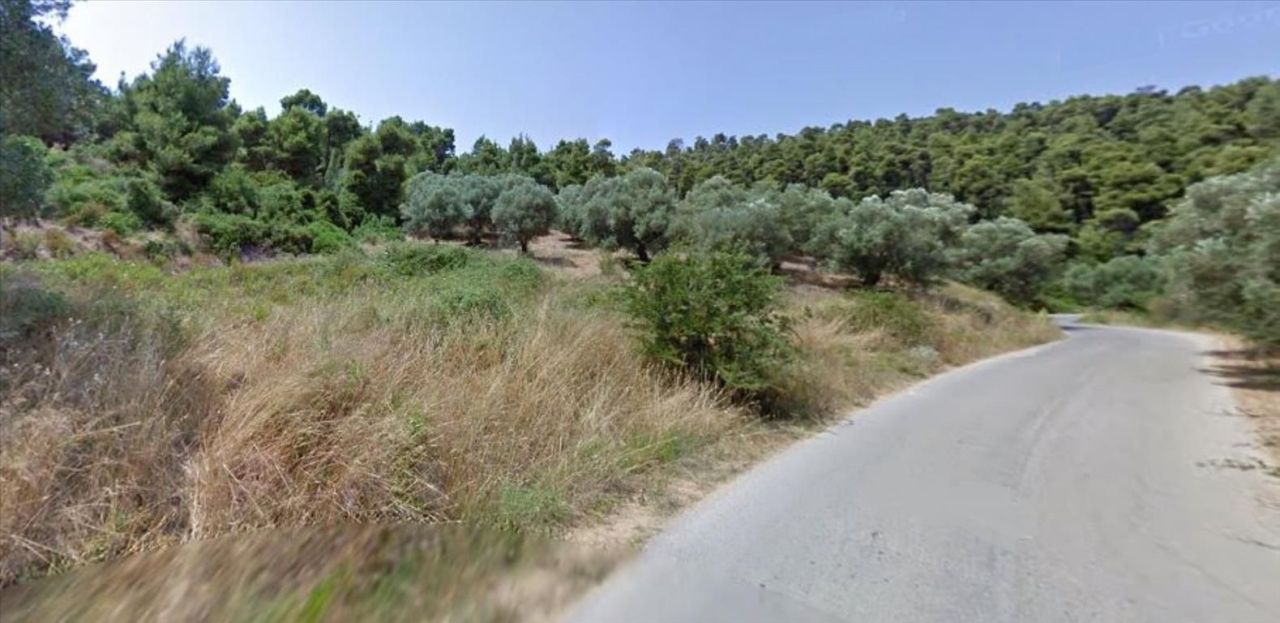 Земля на Кассандре, Греция, 4 157 м² - фото 2