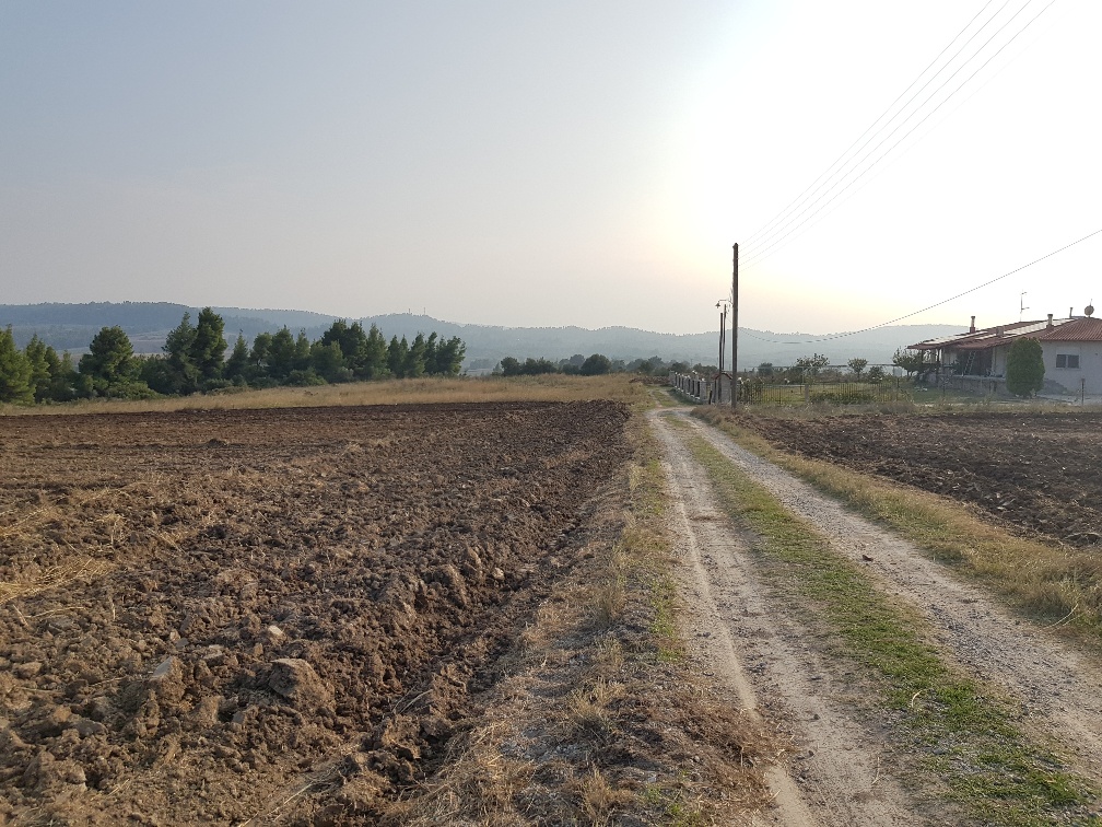 Земля на Кассандре, Греция, 11 005 м² - фото 2