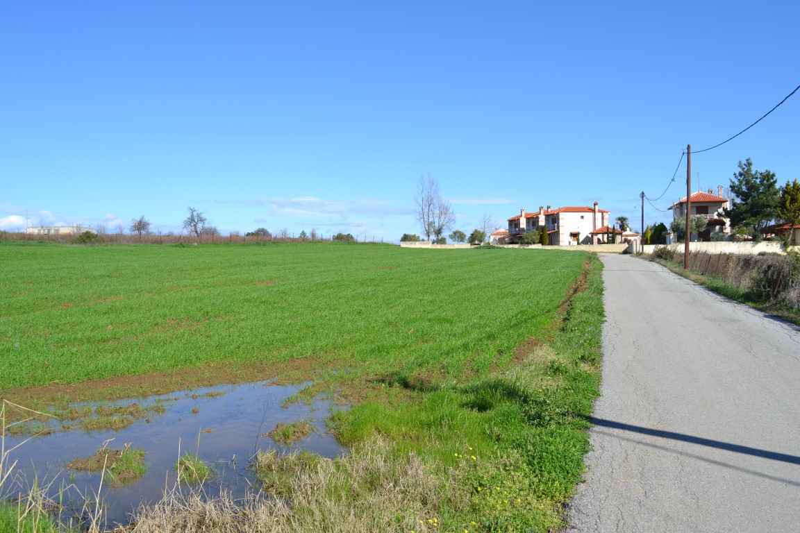 Земля на Кассандре, Греция, 6 700 м² - фото 2