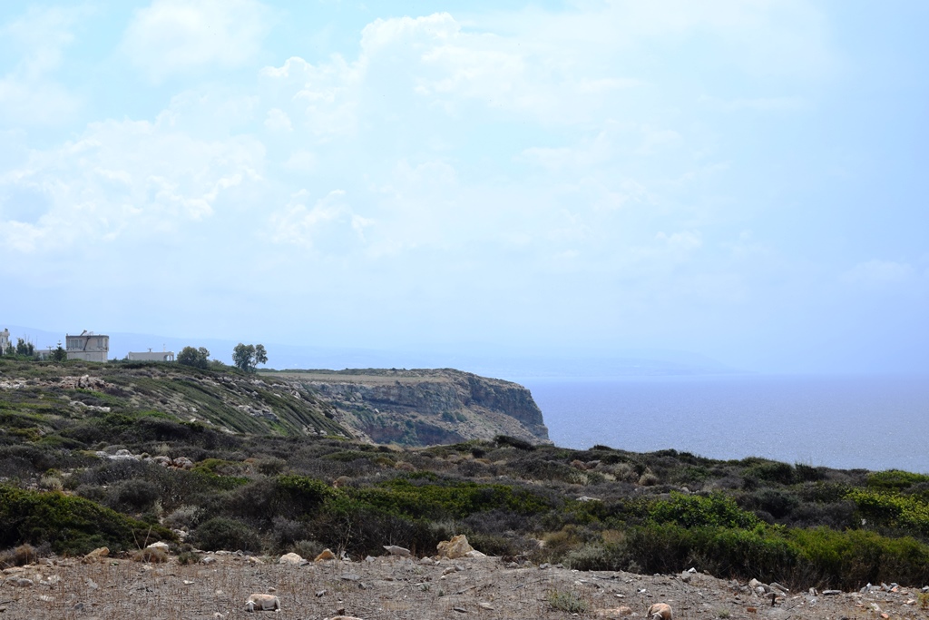 Земля в Ираклионе, Греция, 15 000 м² - фото 2