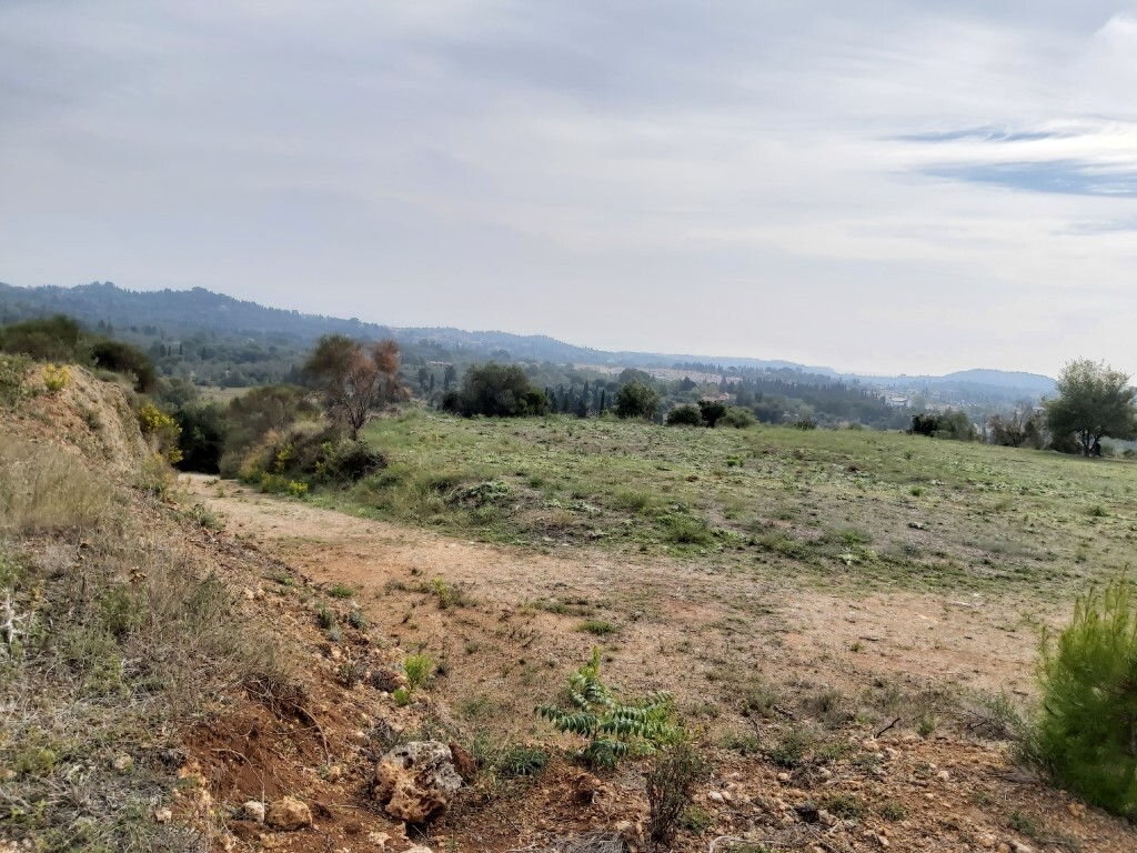 Земля на Корфу, Греция, 7 421 м² - фото 2