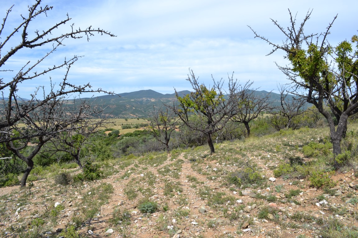 Земля на Халкидиках, Греция, 20 000 м² - фото 2