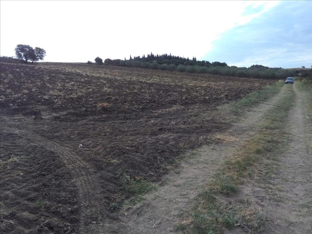 Земля в Салониках, Греция, 16 313 м² - фото 2