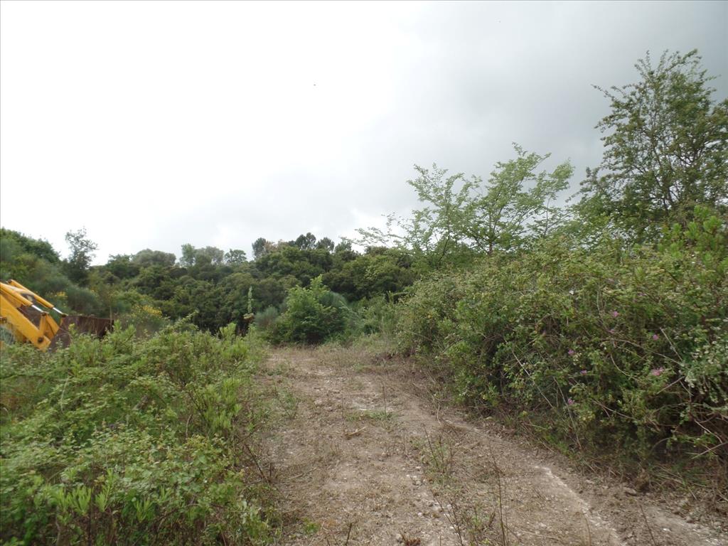 Земля на Корфу, Греция, 15 000 м² - фото 2