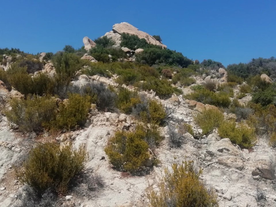 Земля в Ситонии, Греция, 500 м² - фото 2