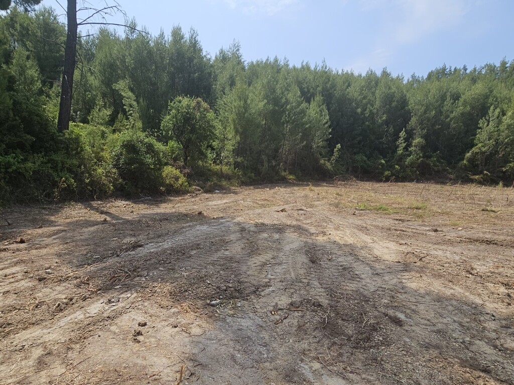 Земля на Кассандре, Греция, 4 100 м² - фото 2