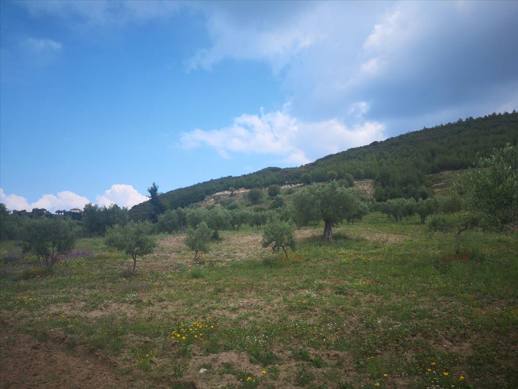 Земля на Кассандре, Греция, 18 500 м² - фото 2