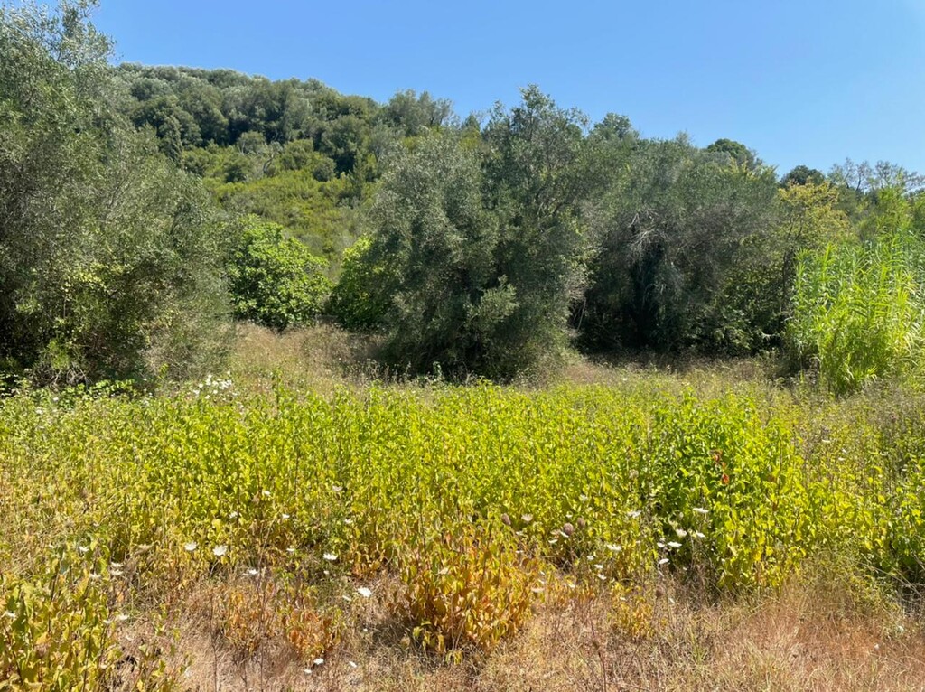 Земля на Корфу, Греция, 11 450 м² - фото 2