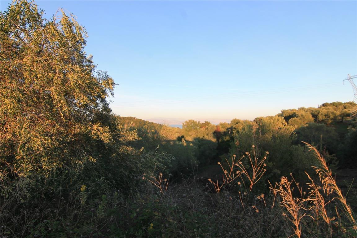 Земля на Корфу, Греция, 5 740 м² - фото 2