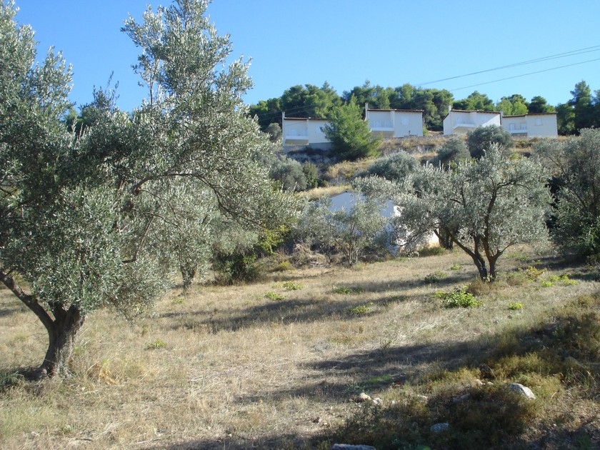 Дом в Аттике, Греция, 45 м² - фото 2