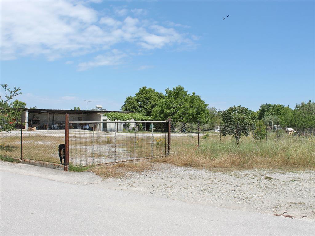 Земля в Олимпиаки-Акти, Греция, 5 950 м² - фото 2