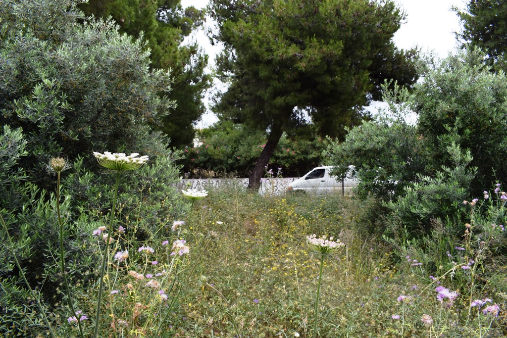 Земля в Ираклионе, Греция, 392 м² - фото 2