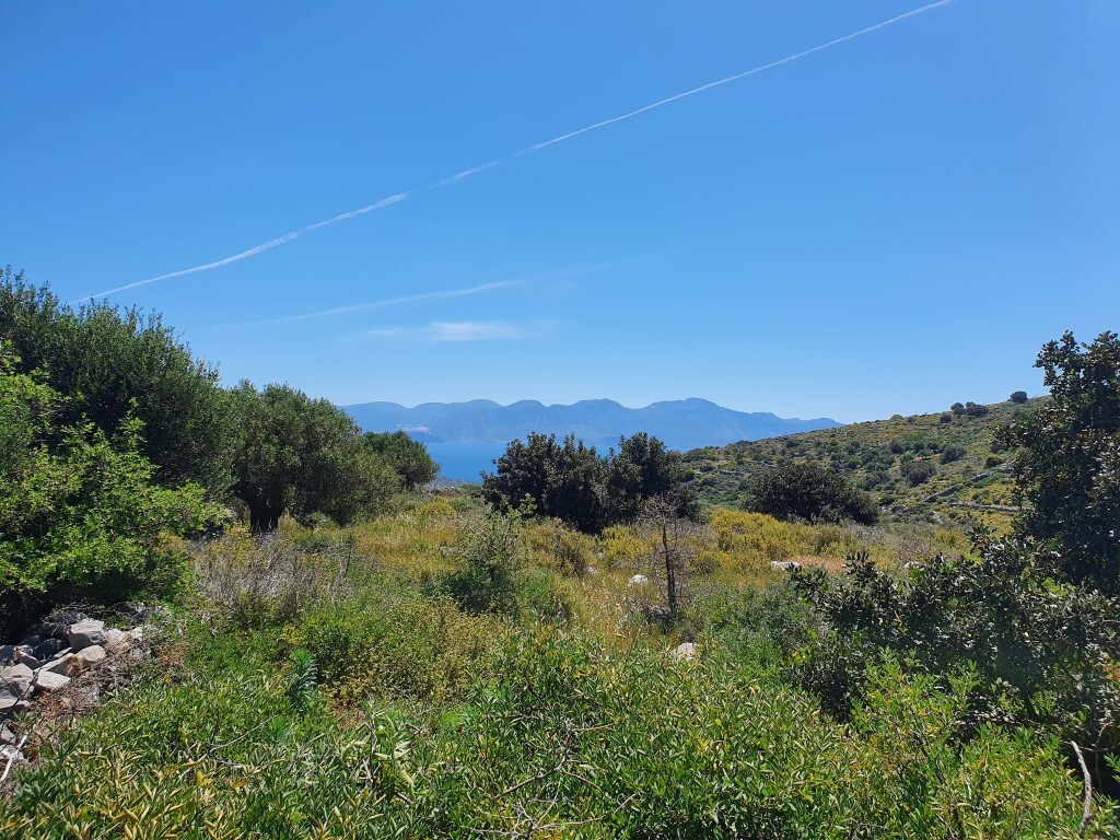 Земля в Ираклионе, Греция, 7 857 м² - фото 3