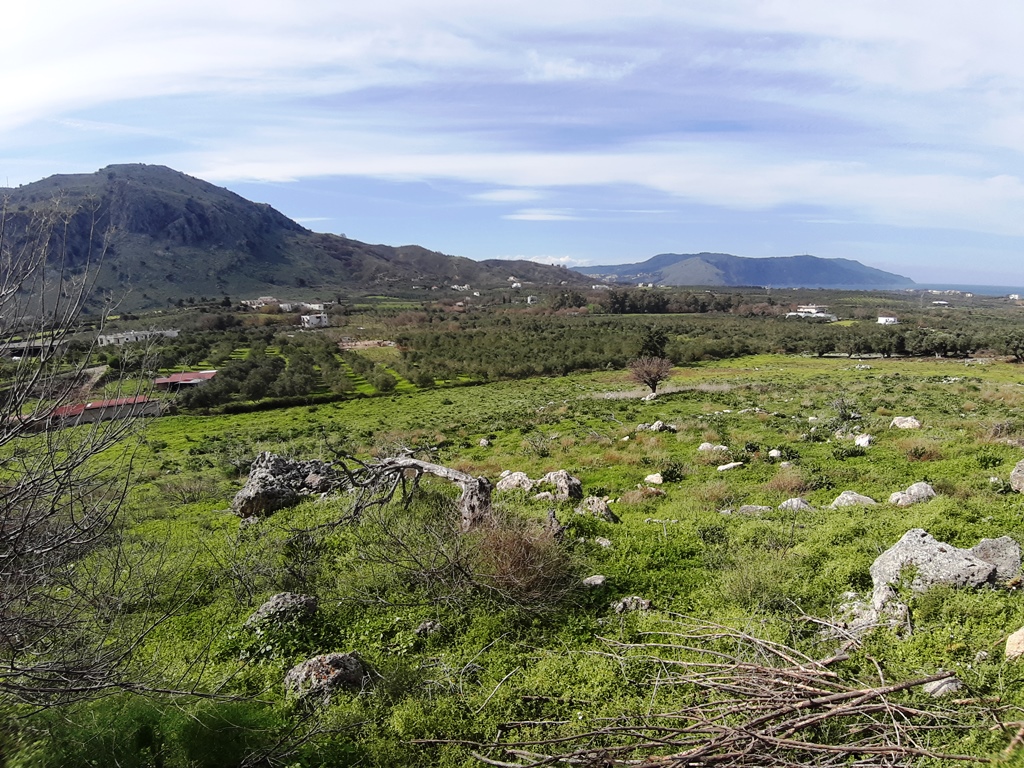 Земля в Ираклионе, Греция, 15 503 м² - фото 3