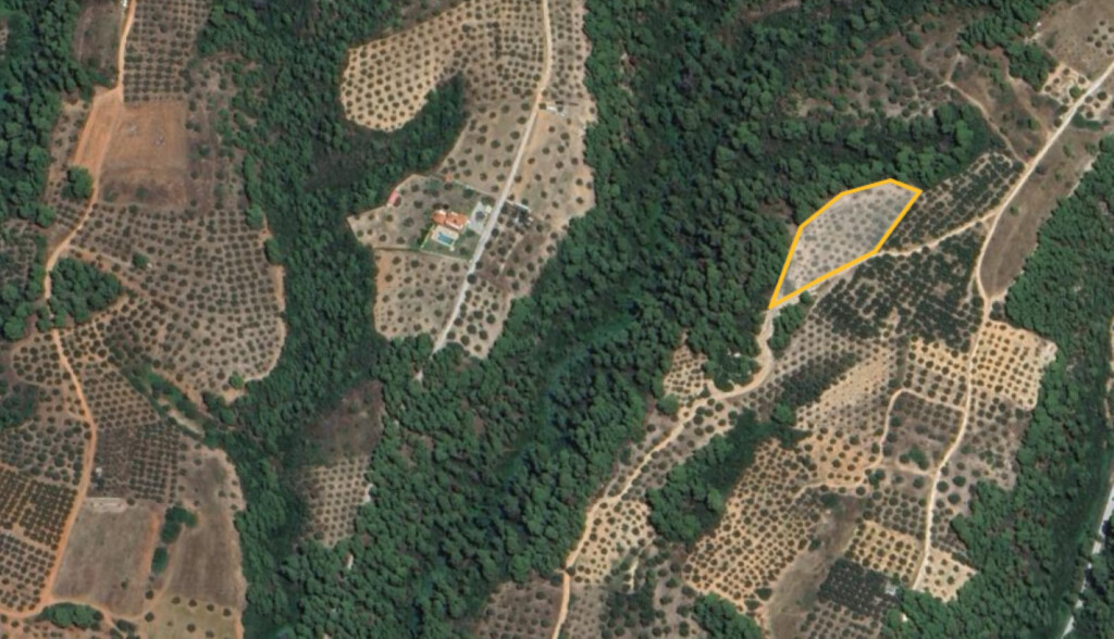 Земля в Ситонии, Греция, 5 975 м² - фото 3
