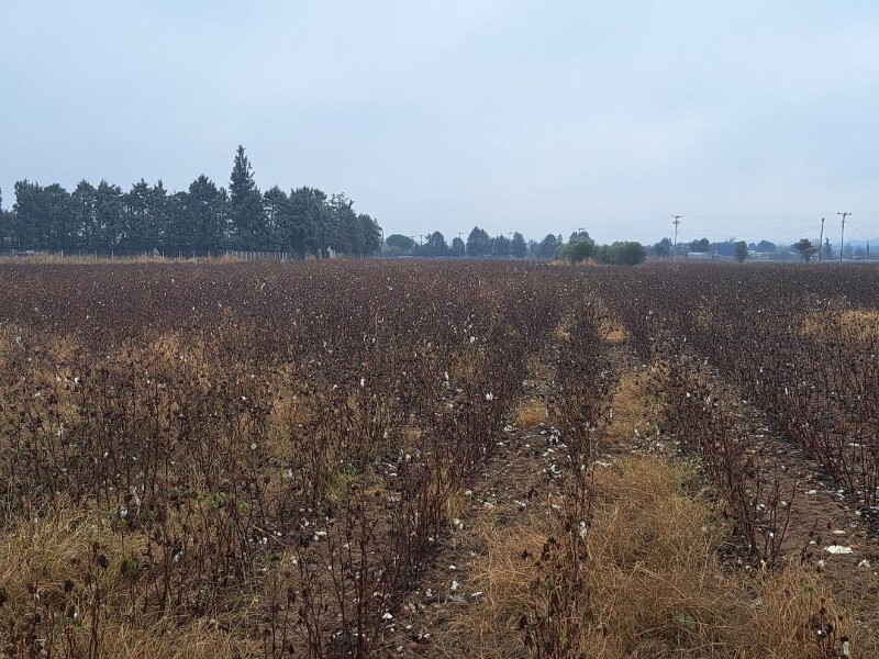 Земля в Салониках, Греция, 12 500 м² - фото 3