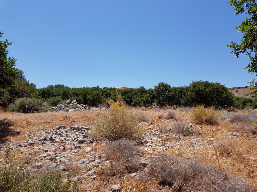 Земля в Ираклионе, Греция, 8 000 м² - фото 3