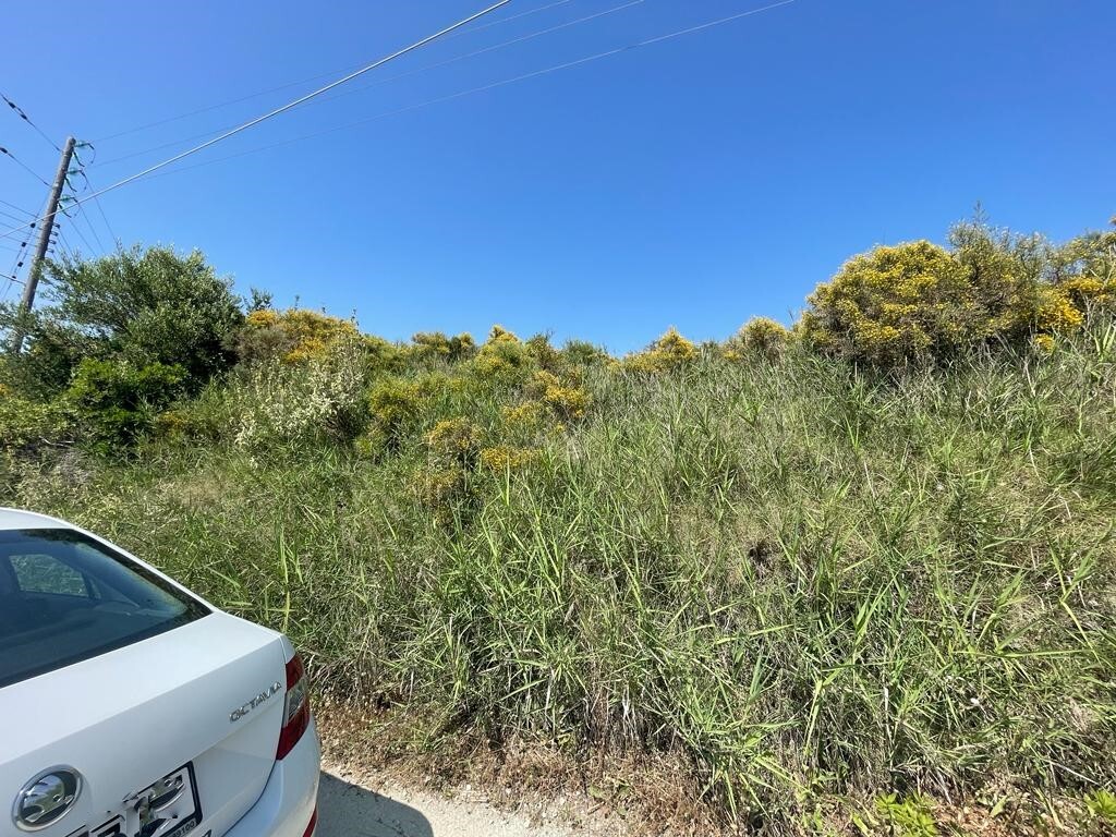 Земля на Корфу, Греция, 10 025 м² - фото 3