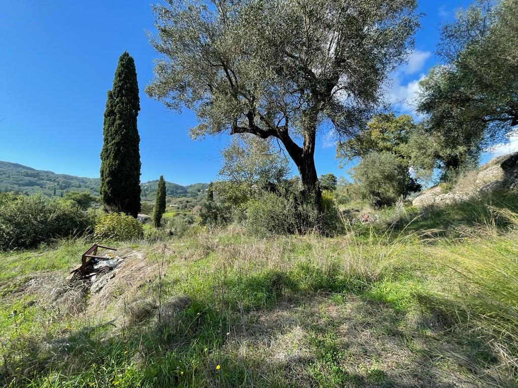 Земля на Корфу, Греция, 5 500 м² - фото 3