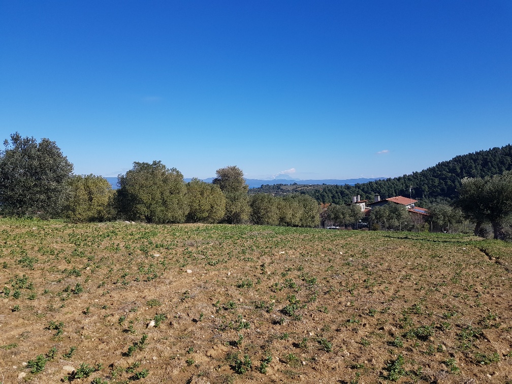 Земля на Кассандре, Греция, 9 000 м² - фото 3