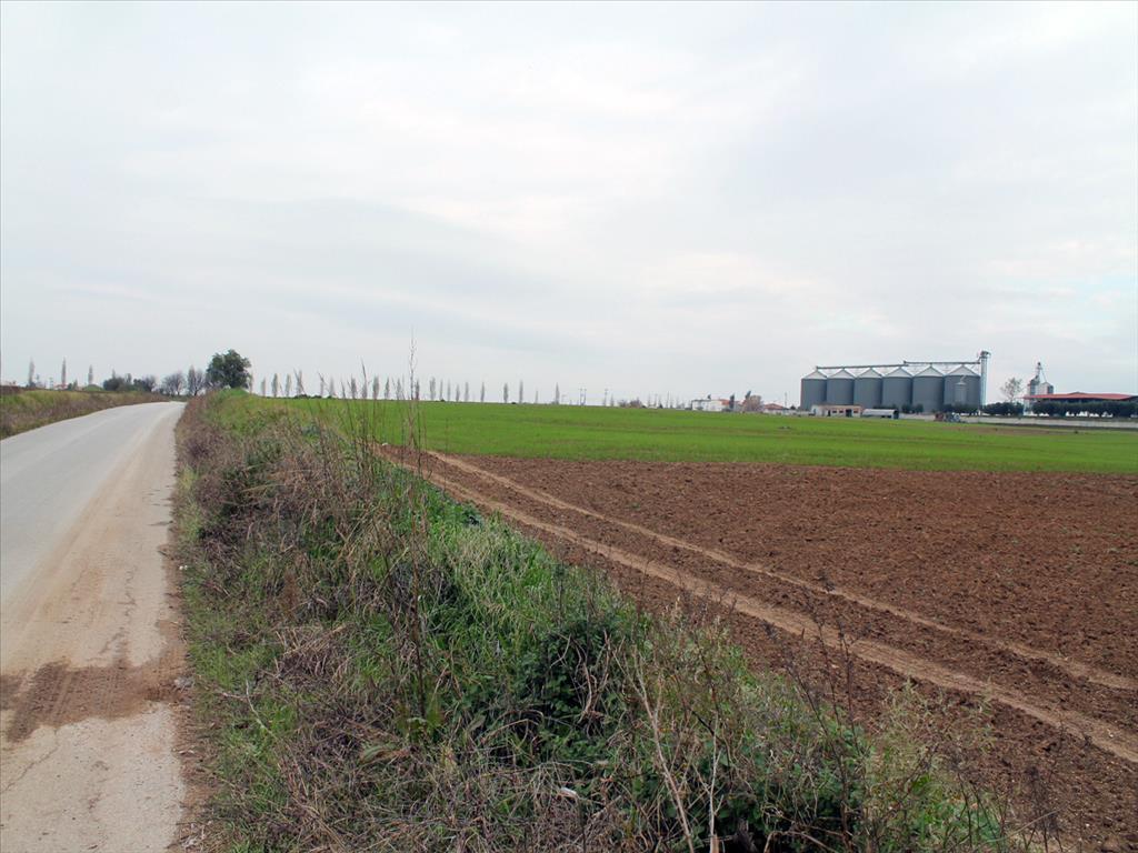 Земля в Салониках, Греция, 11 570 м² - фото 3