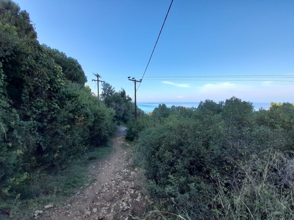 Земля на Кассандре, Греция, 2 704 м² - фото 3