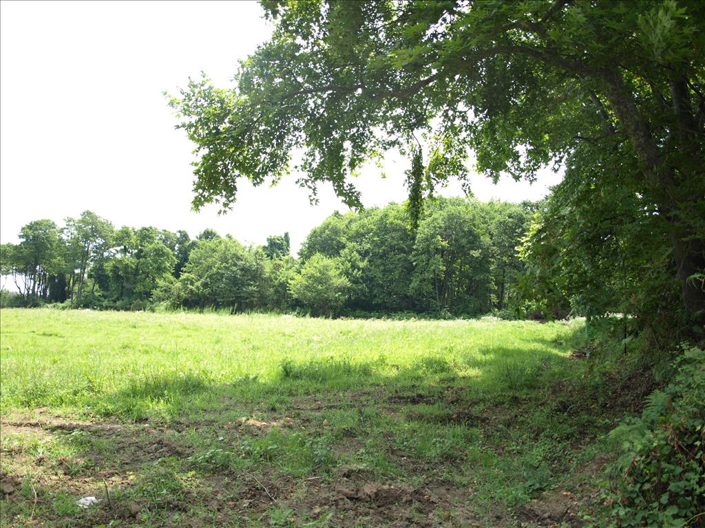 Земля на Халкидиках, Греция, 10 045 м² - фото 3