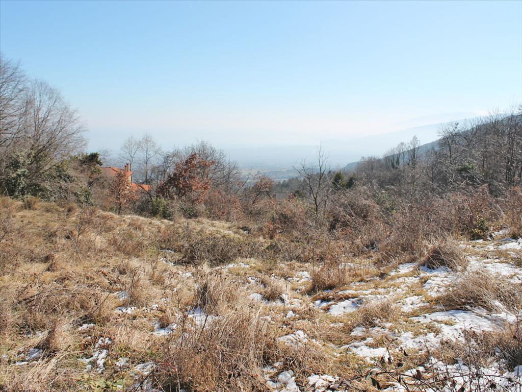 Земля в Олимпиаки-Акти, Греция, 5 500 м² - фото 3