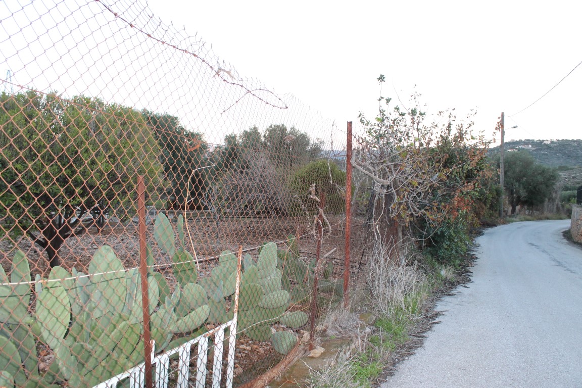 Земля в Ираклионе, Греция, 2 372 м² - фото 3