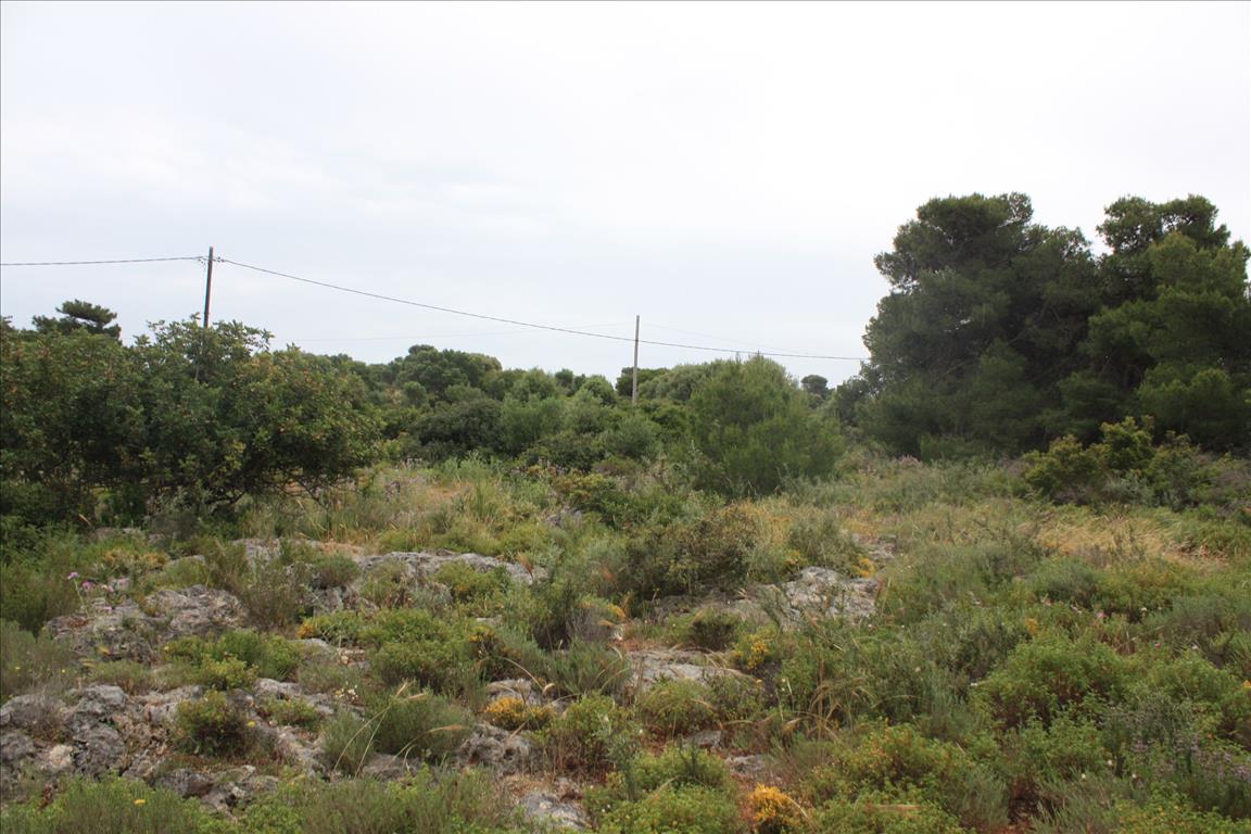 Земля в Ираклионе, Греция, 5 900 м² - фото 3