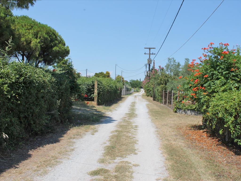 Земля в Олимпиаки-Акти, Греция, 5 000 м² - фото 3