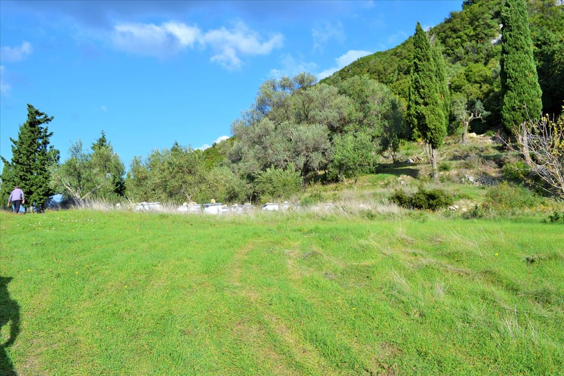 Земля на Корфу, Греция, 15 000 м² - фото 3